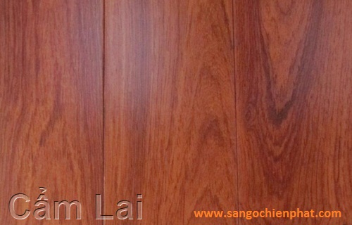 Sàn gỗ Cẩm Lai