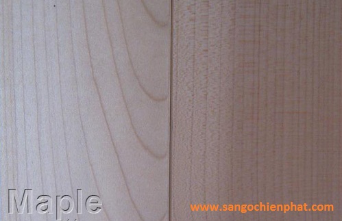 Sàn gỗ Maple